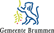 logo van Brummen